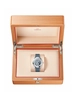 Omega Seamaster Diver Aqua Terra Automatic 220.12.41.21.03.005 фото