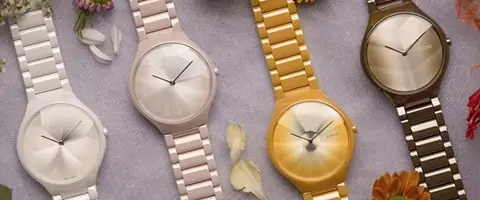 Rado True Thinline x Great Gardens of the World Four Seasons фото