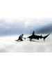 Ulysse Nardin Diver Hammerhead Shark 1183-170LE-3A-HAMMER/3A фото