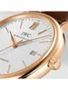 IWC  PORTOFINO IW 356504 фото