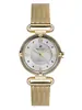 Beverly Hills Polo Club Quartz BP3165X.130 фото