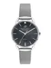 Beverly Hills Polo Club Diamond BP3299C.350 фото