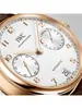 IWC  PORTUGIESER IW 500701 фото