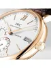 IWC  PORTOFINO IW 510107 фото