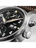 IWC Pilot's Watches IW 387903 фото