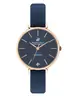 Beverly Hills Polo Club Diamond BP3306X.499 фото