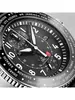 IWC PILOT'S WATCHES Timezoner Chronograph IW 395001 фото