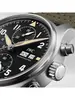 IWC Pilot's Watches IW 387901 фото