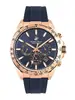 Beverly Hills Polo Club Quartz BP3010X.499 фото