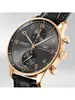 IWC  PORTUGIESER IW 371482 фото