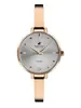 Beverly Hills Polo Club Diamond BP3160C.430 фото