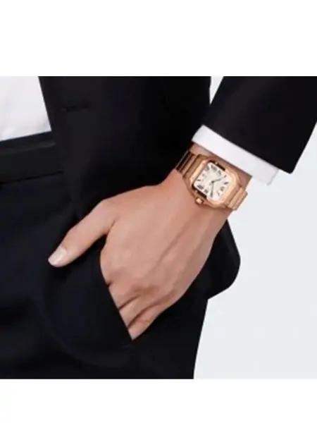 CARTIER WGSA0031