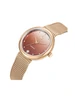 Beverly Hills Polo Club Diamond BP3760X.440 фото