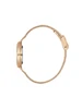 Beverly Hills Polo Club Diamond BP3760X.440 фото