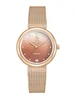 Beverly Hills Polo Club Diamond BP3760X.440 фото