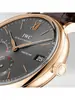 IWC  PORTOFINO IW 510104 фото