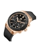 Beverly Hills Polo Club Dual Time BP3690X.451 фото