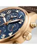 IWC Pilot's Watches IW 392202 фото