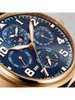 IWC Pilot's Watches IW 392202 фото