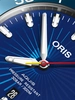 Oris Aquis Date Sun Wukong Limited Edition 01 733 7766 4185-Set фото