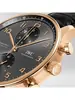 IWC Portugieser IW 371610 фото