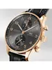 IWC Portugieser IW 371610 фото