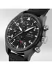 IWC Pilot's Watches IW 389101 фото