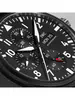 IWC Pilot's Watches IW 389101 фото