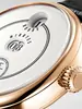 IWC Tribute to Pallweber Edition «150 Years» IW 505002 фото