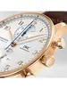 IWC Portugieser IW 371611 фото