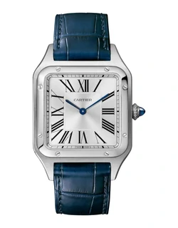 Santos de cartier watches online