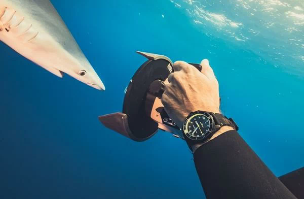 Ulysse Nardin Diver Lemon Shark