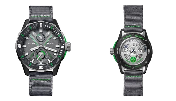 Ocean Race Diver